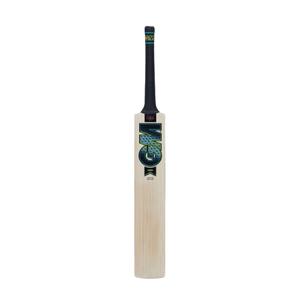 Gunn & Moore AION Signature Cricket Bat 2024