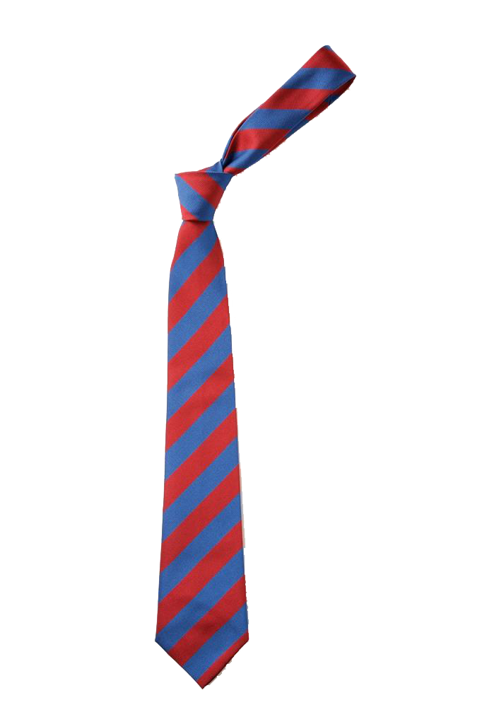Chichester Free School Tie Game Set & Match