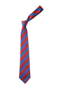 Chichester Free School Tie