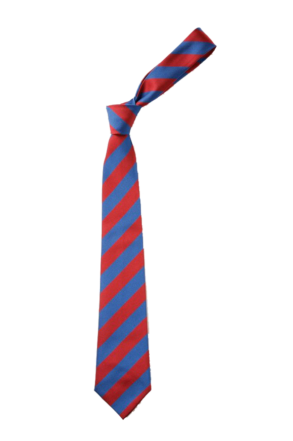 Chichester Free School Tie