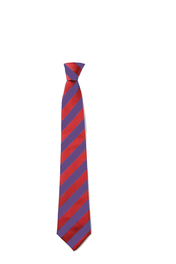 Chichester Free School ClipOn Tie Game Set & Match