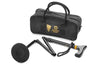 Drakes Pride Folding Walking Stick