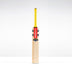 Gray Nicolls Havoc HB317 GN550 PP Adult Cricket Bat 2026