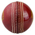 Kookaburra Super Coach Swinger Ball