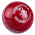 Kookaburra Reverse Swing Trainer Ball