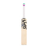 Kookaburra Prism 6.1 Special Adult Cricket Bat 2026