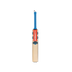 Gray Nicolls Havoc Smash 1.0 Cricket BAT 2026