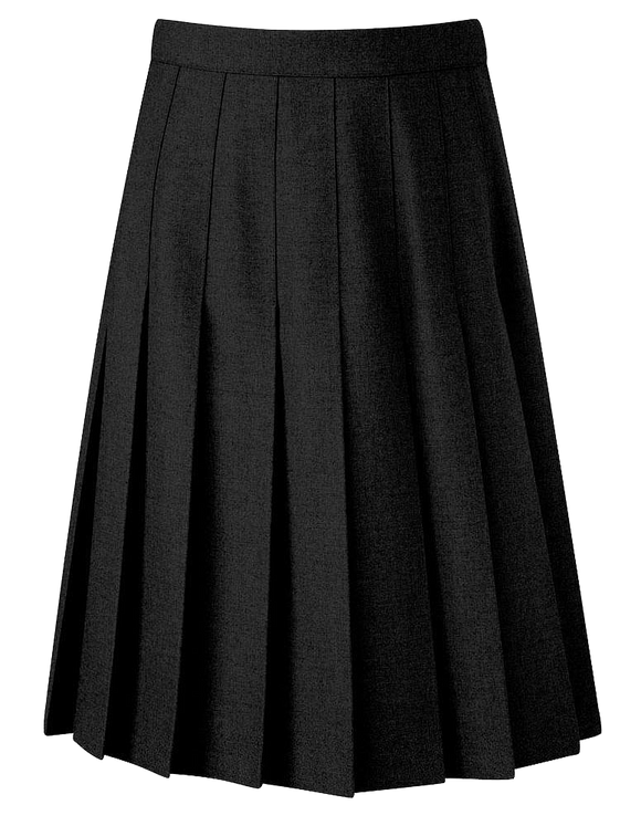 Banner Knife Pleat Skirt - Black