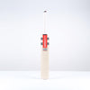 Gray Nicolls Classic Ultimate PP Adult Cricket Bat 2026 - Game Set & Match