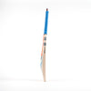 Gray Nicolls Tempesta 1.1 5 Star Lite 2024