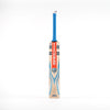 Gray Nicolls Tempesta 1.1 5 Star Lite 2024