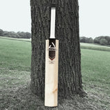 Chase R1 Finback Adult Cricket Bat 2024