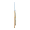 SG Sunny Gold Icon Adult Cricket Bat 2026