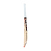 SG Sunny Tonny Junior Cricket Bat 2026