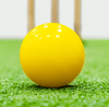 Fortress Garden Cricket Balls