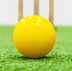 Fortress Garden Cricket Balls