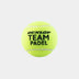 Dunlop TEAM PADEL Balls