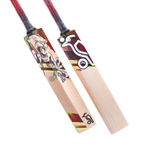 BEAST 3.1 Junior Cricket Bat