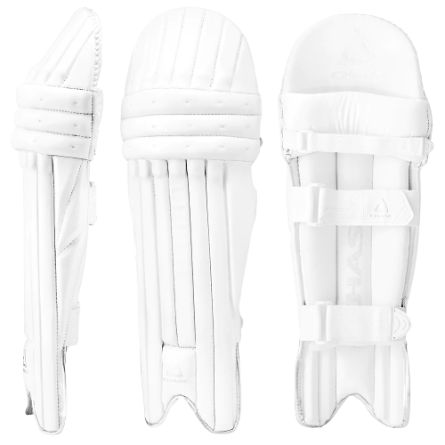 Chase R4 Batting Pads 2024