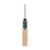 Gunn & Moore Diamond 808 Cricket Bat 2024
