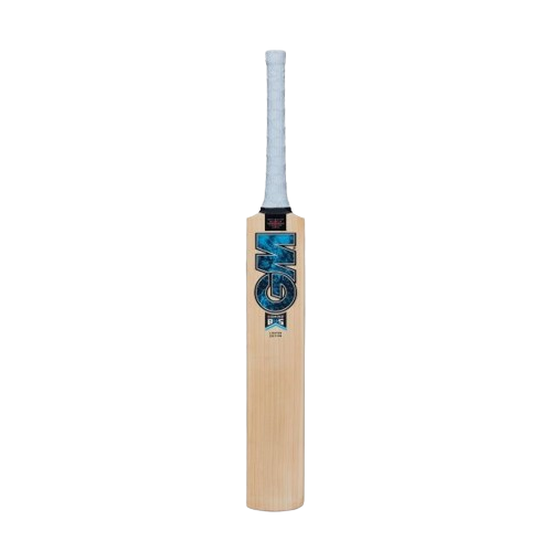 Gunn & Moore Diamond Signature Cricket Bat 2024