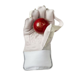 Gunn & Moore 606 Wicket Keeping Gloves 2024