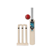 GM Diamond Mini Cricket Set