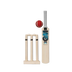 GM Diamond Mini Cricket Set