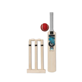 Gunn & Moore Diamond Mini Cricket Set 2024