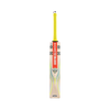 Gray Nicolls Tempesta 1.0 5 Star 2024