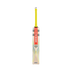 Gray Nicolls Tempesta 1.0 5 Star 2024