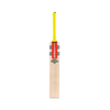 Gray Nicolls Tempesta 1.0 5 Star 2024