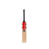 Gray Nicolls Shockwave 2.0 Academy 2024