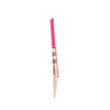 Gray Nicolls Shockwave 2.1 Cameo 2024