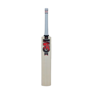 Gunn & Moore RADON Junior Cricket Bat 2024