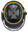 C&D The Albion Cricket Titanium Helmet 2024