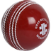 Gray Nicolls Wonderball