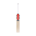 Gray Nicolls Ventus 1.1 5 Star Lite Adult Cricket Bat 2025
