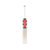 Gray Nicolls Ventus Gen 1.1 Cameo Junior Cricket Bat 2025