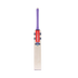 Gray Nicolls Revel 200 Adult Cricket Bat 2025