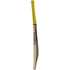 GM Psyche 606 Delta Adult Cricket Bat 2025