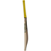 GM Psyche 606 Delta Adult Cricket Bat 2025