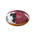 British and Irish Lions Series 2025 Supporter Ball