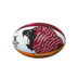 Lions Mens Series Mini Rugby Ball