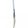 GM Radon Adult Cricket Bat 2026