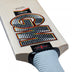 GM Rival Signature Adult Cricket Bat 2026