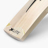 DSC X Lite 4.0 Adult Cricket Bat 2026