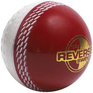 Gray Nicolls Swing Ball