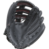 Gray Nicolls Baseball Glove