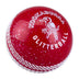 Kookaburra Glitter Ball